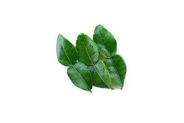 Kaffir lime leaves on white background, spices in cooking