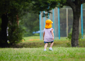夏の公園で遊んでいる保育園の園児の様子