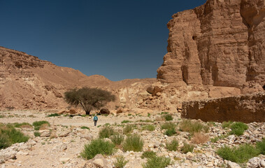 Female traveler on a trail in the remote region of Eilat mountains, Israel. Desert beauty in a...