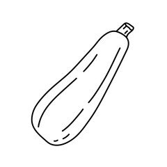 Zucchini. Vegetable sketch. Thin simple outline icon. Black contour line vector. Doodle hand drawn illustration