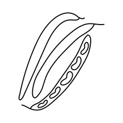 Bean. Vegetable sketch. Thin simple outline icon. Black contour line vector. Doodle hand drawn illustration