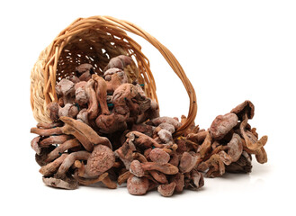 dried mushroom on white background