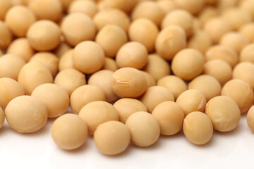 gold soybean  background 
