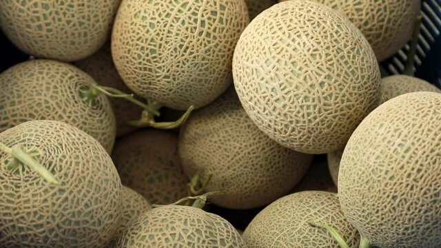 fresh cantaloupe, sweet, green