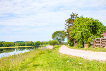 landscape, morning by the river.Quiet calm morning in nature in summer