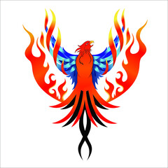 Fototapeta premium Phoenix Fire bird illustration and character design in white background with golden and blue wings logo.