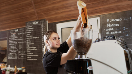 Professional coffee grinder and barista girl pouring Arabica coffee beans into the grinding tank....