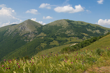 Panoramic view of Valsorda in the summer season with blue sky, Umbria, Italy