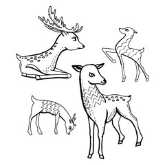 Contour linear illustration with animal for coloring book. Cute deer, anti stress picture. Line art design for adult or kids  in zentangle style and coloring page.