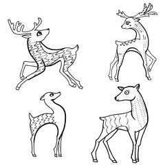 Contour linear illustration with animal for coloring book. Cute deer, anti stress picture. Line art design for adult or kids  in zentangle style and coloring page.