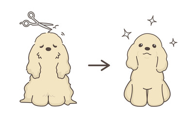 犬のトリミング　ビフォアアフター　コッカースパニエル