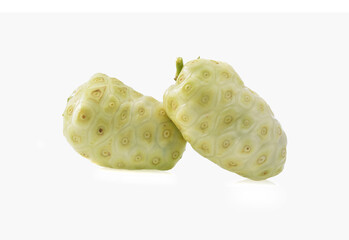 Noni or Morinda fruits isolated on white