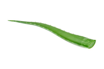 Aloe Vera on white background