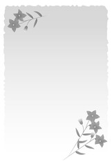 喪中はがき　桔梗の花