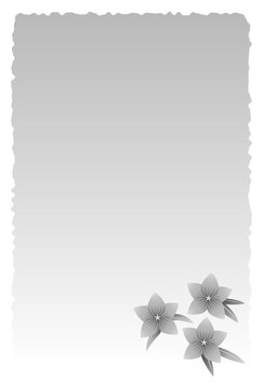 104 Best 桔梗の花 Images Stock Photos Vectors Adobe Stock