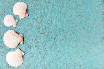 Sea shells on a blue textured background with copy space