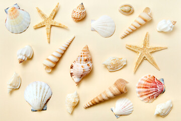 Fototapeta na wymiar Set of exotic seashells and starfishes on a yellow background