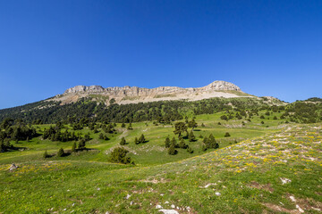 Fototapeta na wymiar La Montagnette, Combeau valley in spring