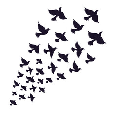 Fototapeta na wymiar A flock of birds flying away. Freedom symbol. Vector illustration on a transparent background 