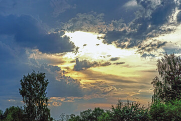 Naklejka premium Sunset cloudy sky over the trees on a summer evening