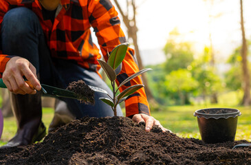 The young man is planting a tree to preserve the environment, plant tree concept to reduce global...