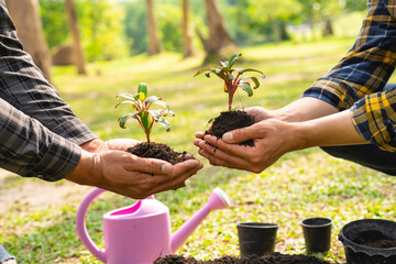 two young men are planting a tree to preserve the environment, plant tree concept to reduce global...