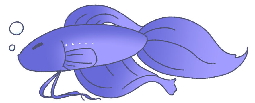 162 件の最適な 闘魚 画像 ストック写真 ベクター Adobe Stock