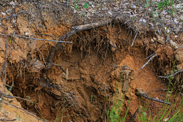 A hole in the ground near a tree after heavy rain