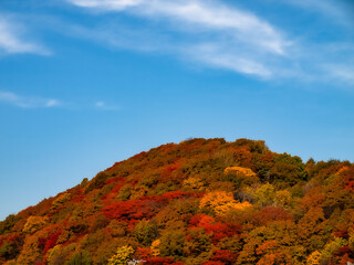 秋になり色とりどりの紅葉が美しい里山