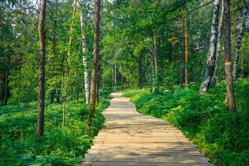 Fototapeta na wymiar Hiking trail in the nature reserve Krasnoyarsk Pillars