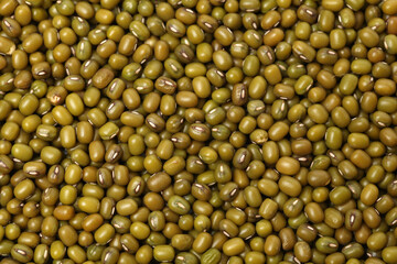 Mung beans on white background