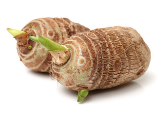 Taro on white background