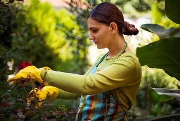 Gardener pruning plants in garden.
