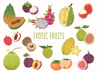 Icon set of exotic tropical fruits 