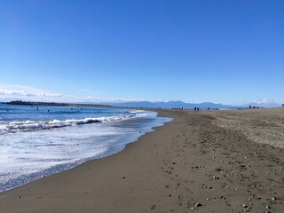 海