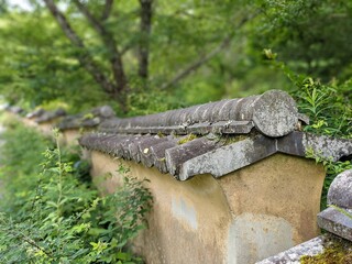 log cabin in the forest