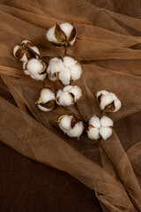 cotton branch to decorate apartments seen from top view on brown tulle fabric