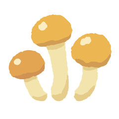 Fototapeta premium ナメコの手描き風イラスト