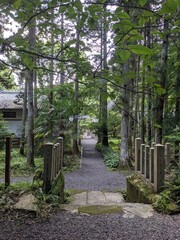 footpath in the park