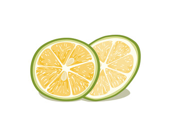 Isolated a pice of sliced lemon on white background. Food and drink decoration. Close up lime vector on white. Realistic food ingredient vector drawing.   