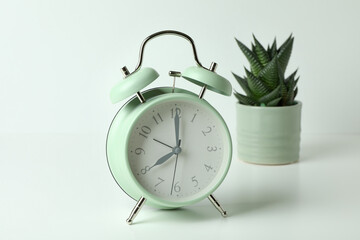 Mint alarm clock and succulent on white background