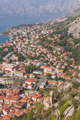 View of the city of Kotor from a high point on a sunny summer day. Montenegro 