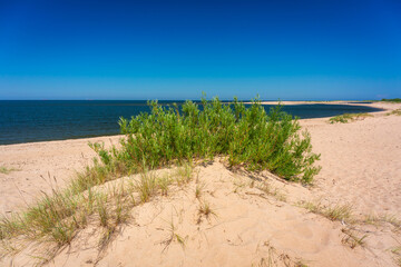 Beautiful beach on the Baltic Sea in summer, Poland