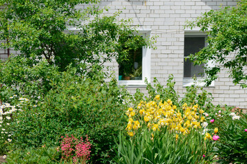 Fototapeta na wymiar Colorful beautiful lush garden in front of a brick house