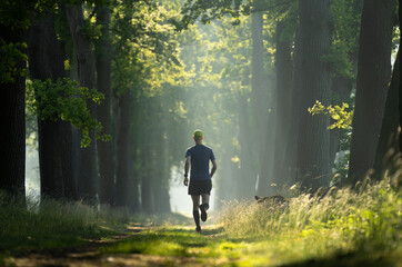 Obraz premium A man running in a lane of tree's on a sunny, summer's morning.