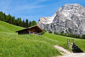 Traumhafte Dolomitenlandschaft - Üppig grüne Bergwiese bei Wengen mit bühenden Blumen und...