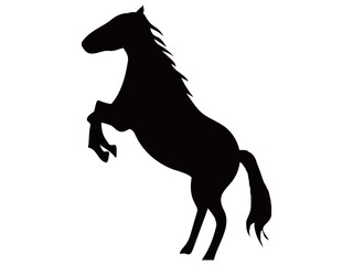 立ち上がる馬のシルエット