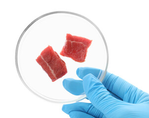 Scientist holding Petri dish with pieces of raw cultured meat on white background, top view