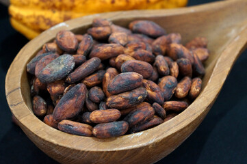 Cocoa beans or chocolate on wooden spoon background
