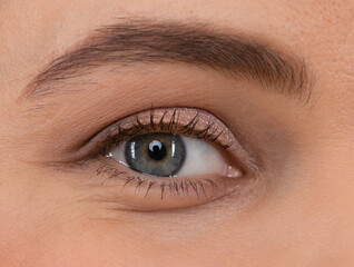 Obraz premium Female eye. Eye makeup. Arched eyebrow and natural eye-shadow. Eyesight. Eyelash extension.